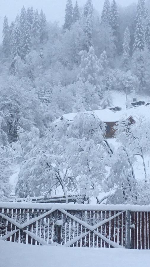 Privatna Sadiba Chalet Orjavcsik Kültér fotó